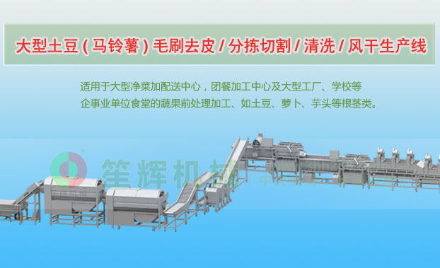 乐安连续式土豆去皮清洗切割风干生产线